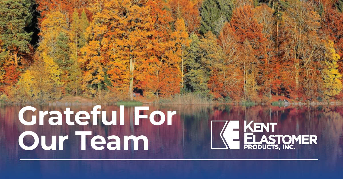kep-november-nsltr-images-11.4.223