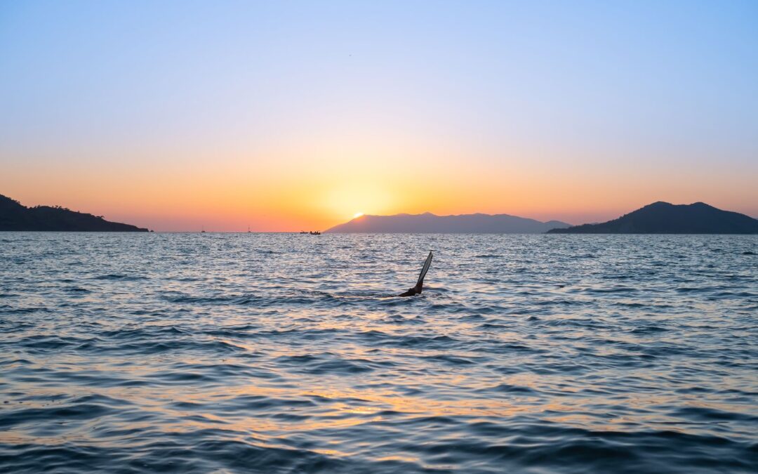 How KEP Makes Spearfishing Sustainable