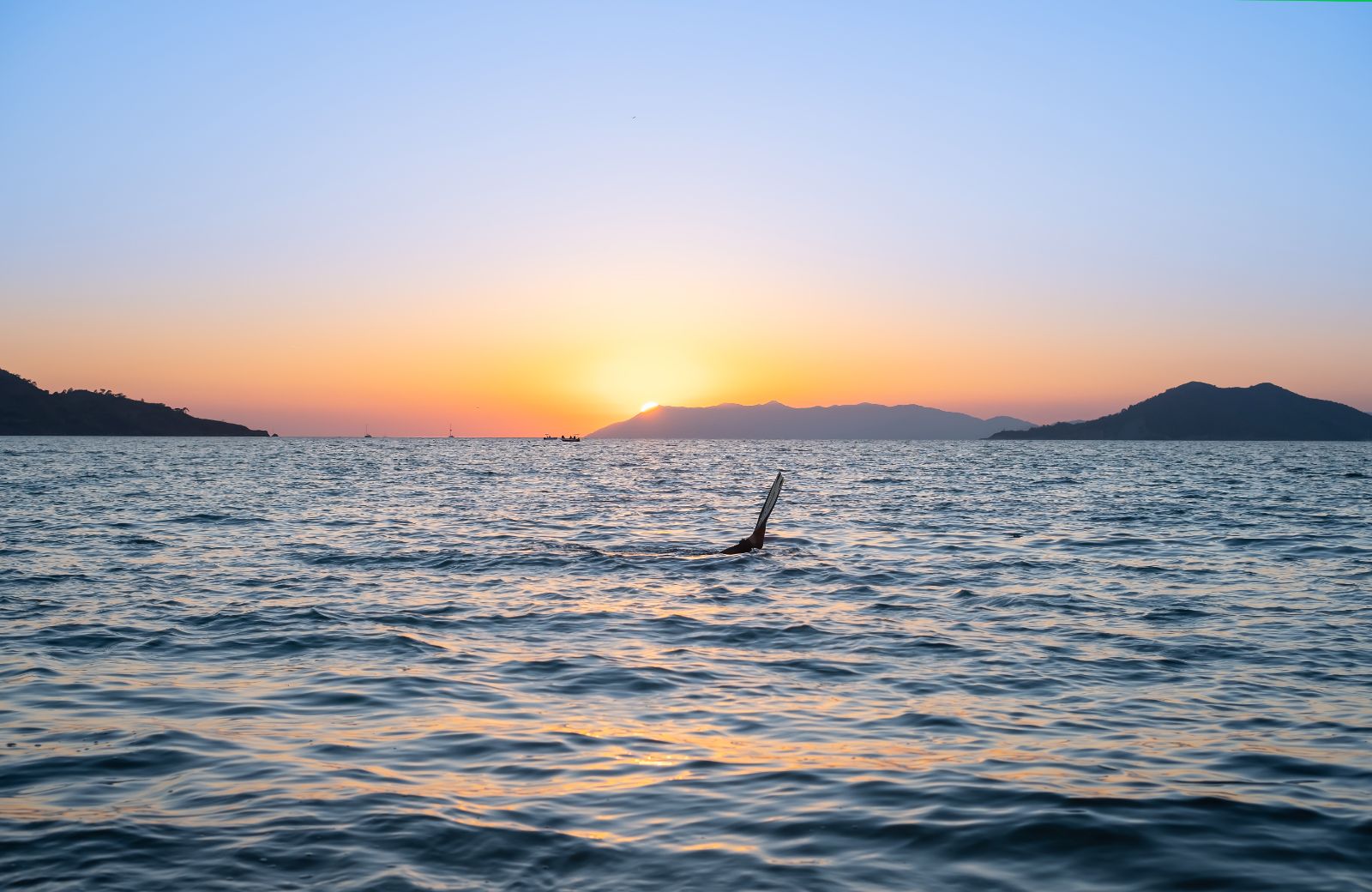 How KEP Makes Spearfishing Sustainable